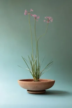 Bergs Potter - ruukku Ada RAW Rosa, Ø 30 cm