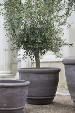 Bergs Potter - ruukku Campana RAW Grey, Ø 60 cm