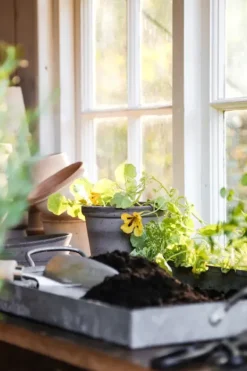 Bergs Potter - ruukku Parade RAW Grey, Ø 13 cm