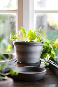 Bergs Potter - ruukku Parade RAW Grey, Ø15 cm