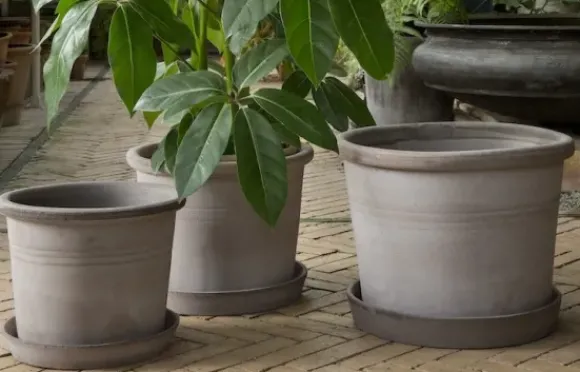 Galestro harmaa ruukku Ø40cm