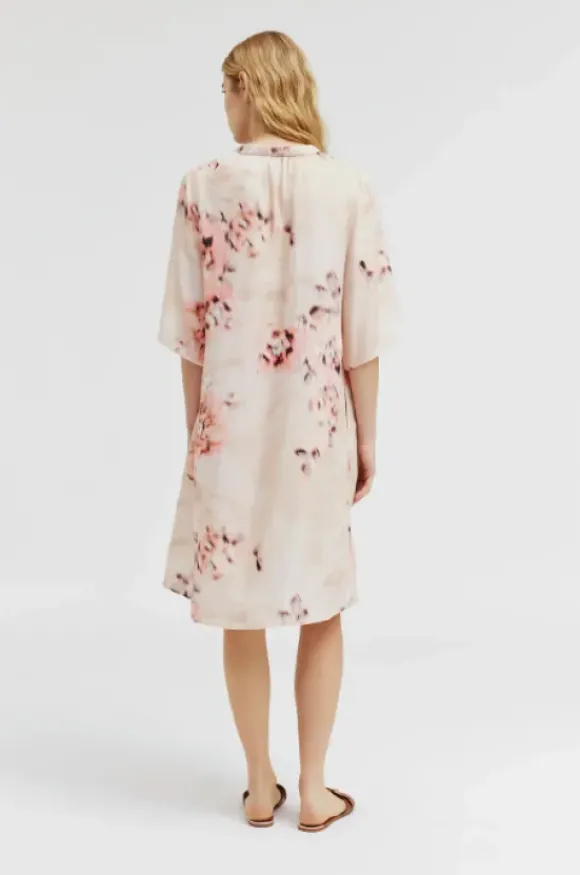 Gustav - Costa mekko, sand coral