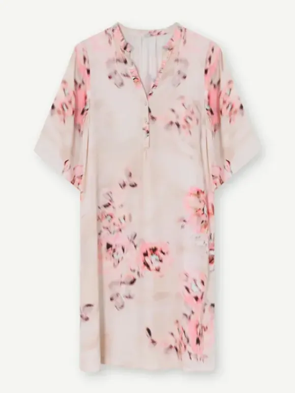 Gustav - Costa mekko, sand coral