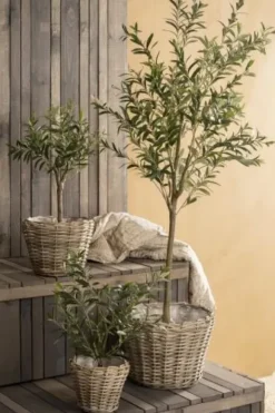 Ib Laursen - Oliivipuu L h166cm