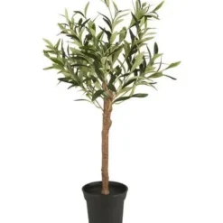 Ib Laursen - Oliivipuu S h75cm