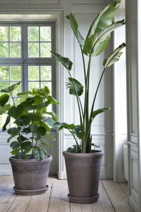 Ruukku Flora RAW Grey, Ø 30 cm