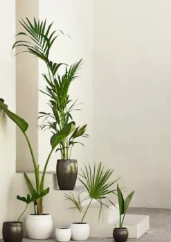 Tine K Home - ruukku, valkoinen