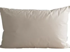 Vanu sisätyyny 50x75 cm