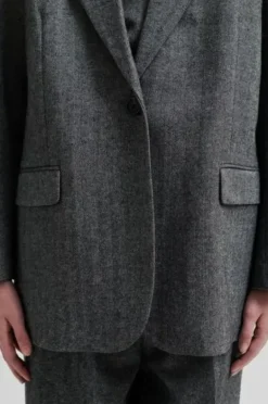 Waleria bleiseri, black